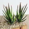 Plantes artificielles succulentes à l'aloès zèbre, vert, rose, jaune, décoration de jardin, maison, bricolage, mur en plastique, hauteur = 12cm ► Photo 3/6