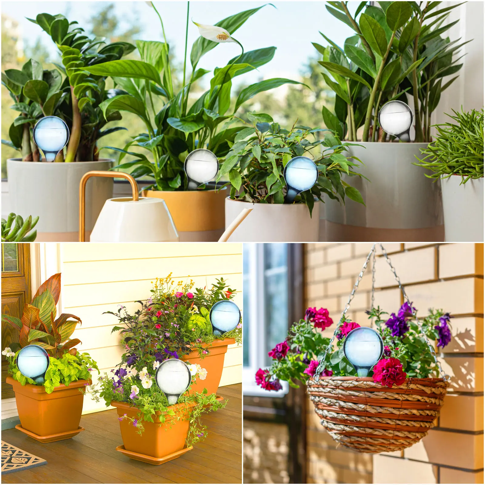 1 Pc Pack Plant Watering Globes Sistema Di Irrigazione Automatica Pvc Self Plant Watering Glo