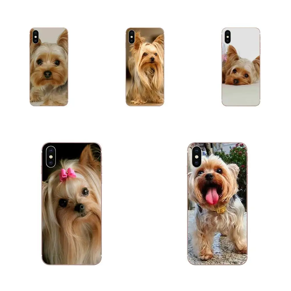 

Adorable Yorkshire Terrier Dog Pattern For Sony Xperia Z Z1 Z2 Z3 Z4 Z5 compact Mini M2 M4 M5 T3 E3 E5 XA XA1 XZ Premium
