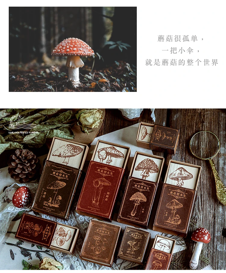 //img.alicdn.com/imgextra/i1/1664485530/O1CN01QxOxND1qimn8G8Km1_!!1664485530.jpg