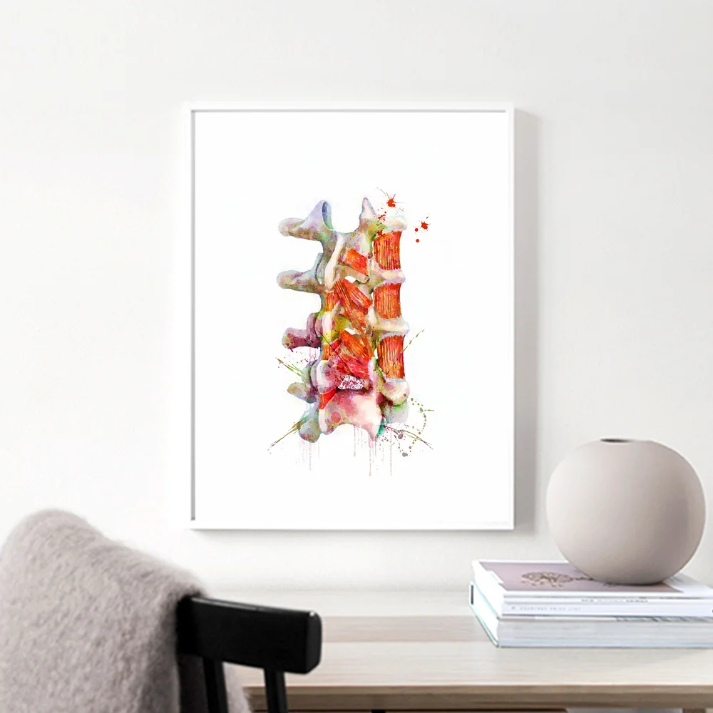 

Human Anatomy Art Canvas Painting Spine Vertebrae Poster Surgeon Gift Muscles Print Neurology Clinic Wall Art Decor