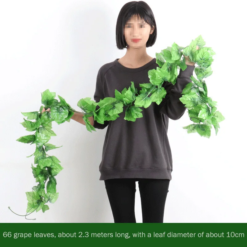 13097461851_793964271