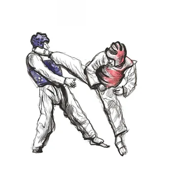 

Fashion Boxing Taekwondo Karate Fun Car Decals Personalized Car Decals Color Decals PVC Waterproof Decals, 15cm * 14cm