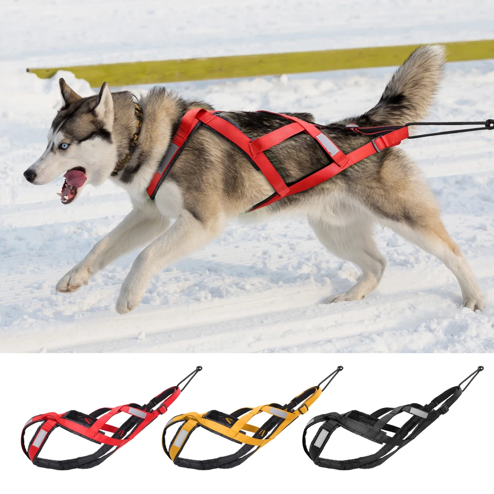 防水犬そりハーネス反射そりハーネス中型大型犬の強さスキースクーター用の加重ストラップ Harnesses Aliexpress 防水犬そりハーネス反射そりハーネス中型大型犬の強さスキースクーター用の加重ストラップ Harnesses Aliexpress