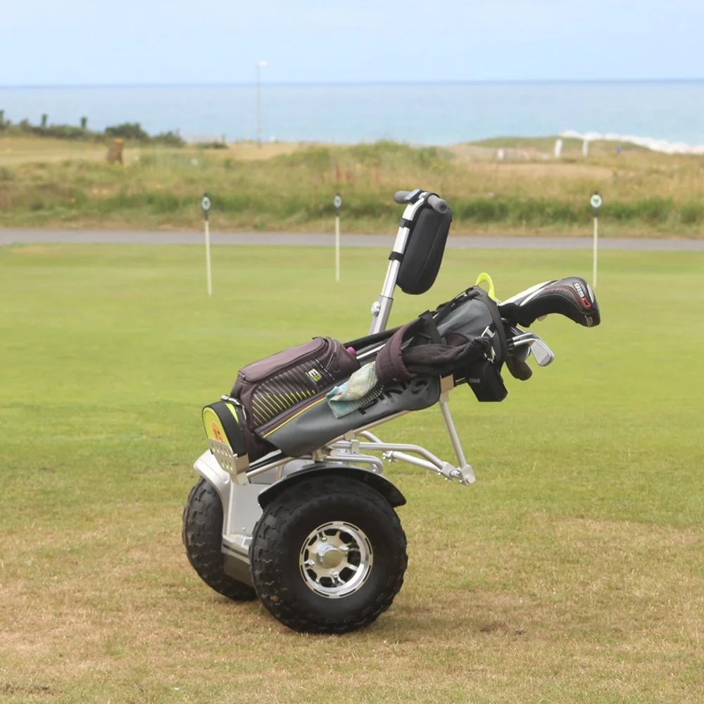 Eu Stock Electric Scooters Two-wheel Off-road Smart Balance 19 Inch Self Balance ES6 Golf Bag Holder Made Of Alu Eswing Scooters