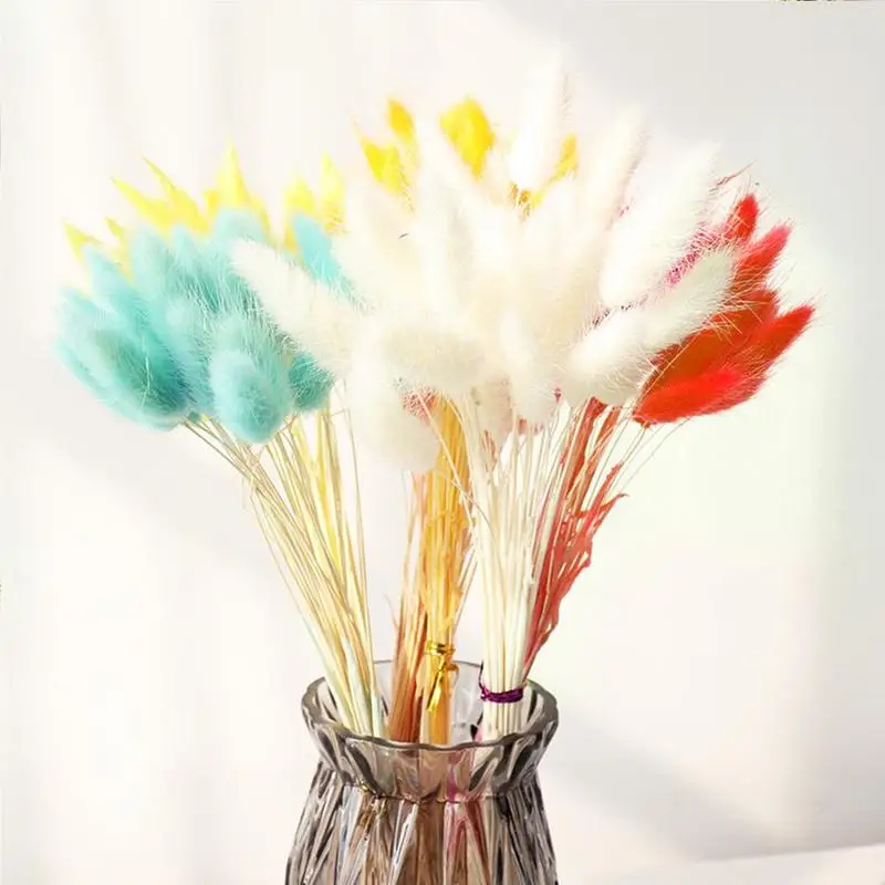 

30Pcs/lot Gradient Lagurus Ovatus Natural Dried Flowers Bouquet Wedding Home Easter Decorations Rabbit Tail Grass Real Flowers
