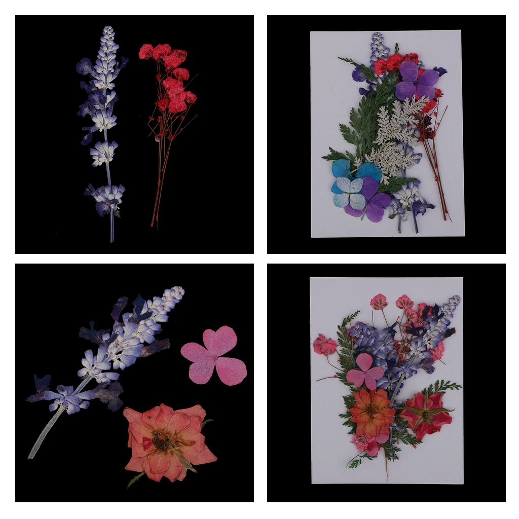 Variety of Real Pressed Dried Flowers for DIY Scrapbooking Art Crafts Decoration