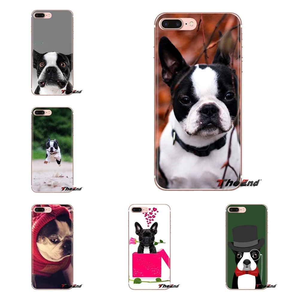 cute dog boston terrier Transparent Soft Shell Cases For Huawei Honor 5A LYO-L21 Y6 II Compact Y5 2 Y5II Mate 10 Lite Nova 2i 9i |