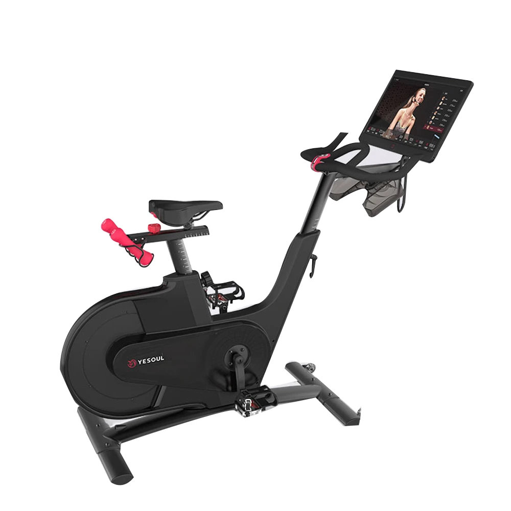 Spin Bike 20kg Flywheel TF8938 atelieryuwa.ciao.jp