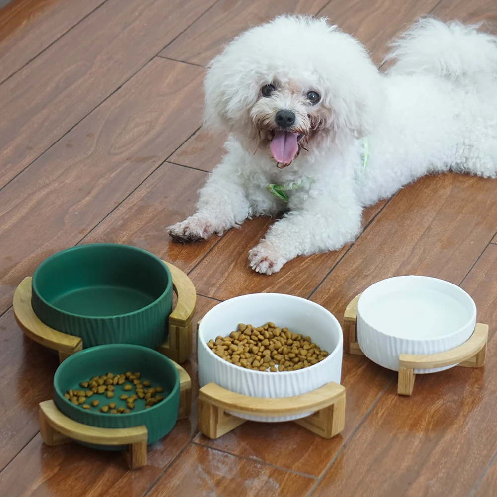 

Ceramic Elevated Raised Cat Bowl with Wood Stand No Spill Pet Food Water Feeder Cats Small Dogs