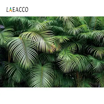 

Green Tropical Palms Tree Leaves Birthday Wedding Customized Poster Pattern Photo Background Photographic Backdrop Photo Studio