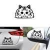Cute Cat Car Stickers And Decals Wrap Vinyl Animals Auto Products For Cars Windows And Body Decoration stickers on the car ► Photo 3/6