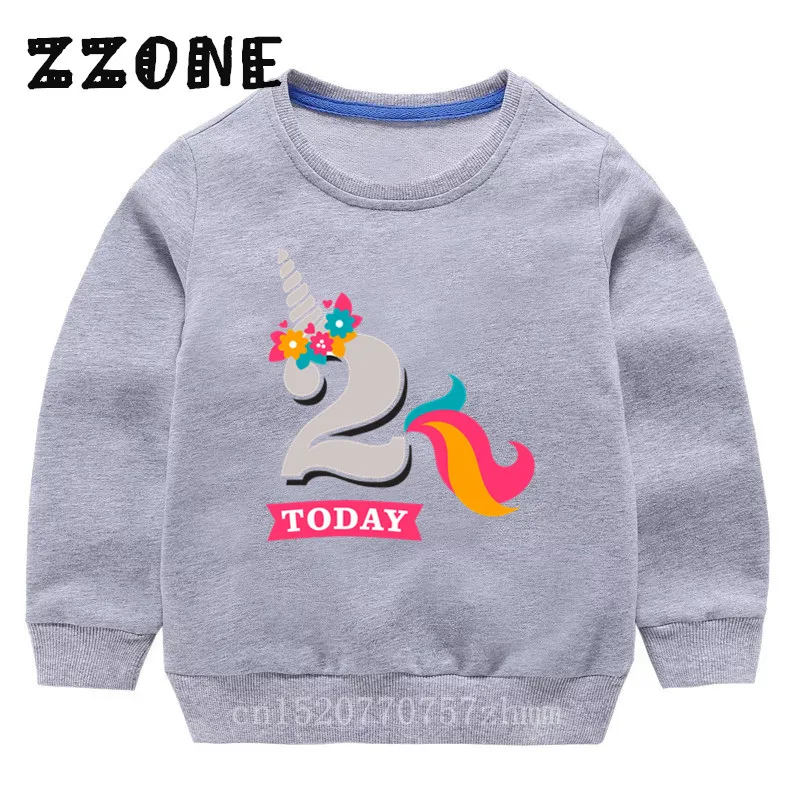 Children's Hoodies Kids Notorious Big Sweatshirts Baby Cotton Pullover Tops Girls Boys Autumn Clothes,KYT2431[1] - Цвет: 2431B-Gray