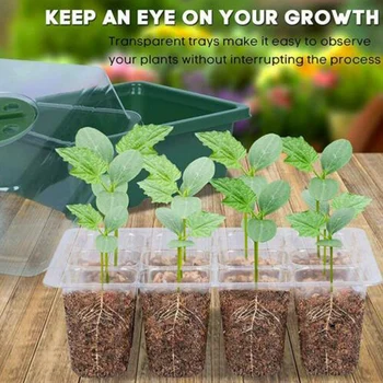 

12-hole Plant Seed Growth Box Nursery Nursery Starter For Garden Use Insulation Material Adjustable Temperature Humidity FP