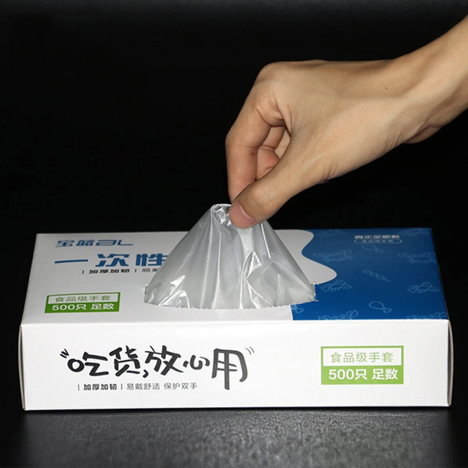 Disposable Gloves  (4)