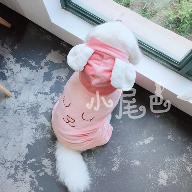 Labrador clothes (3)