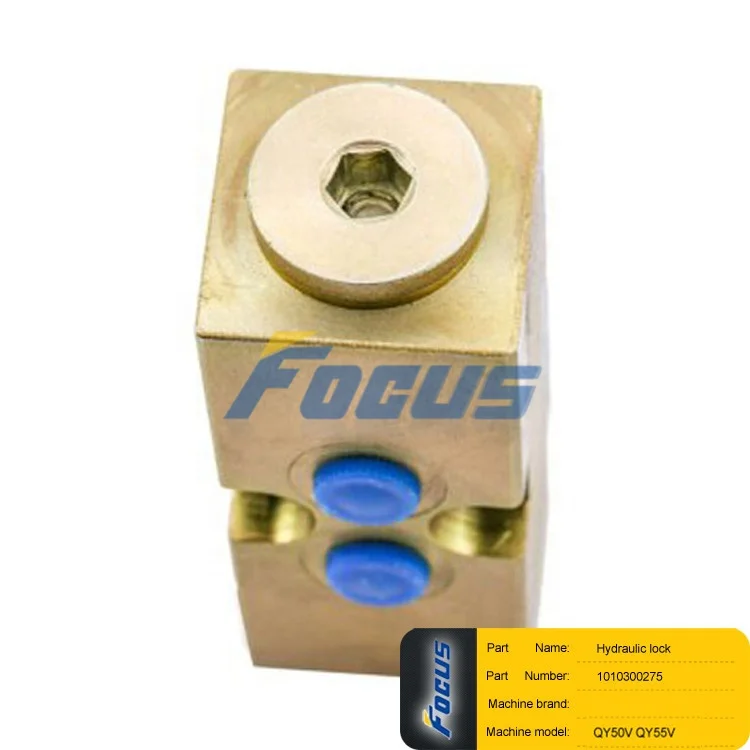 Truck Crane QY50V QY50V532 QY55V Spare Parts Hydraulic lock 1010300275