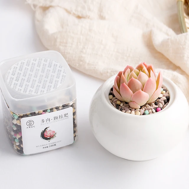 230 G Szemcsés Lassú Kiadású Összetett Műtrágya Színes Különlegességekhez A Pozsgás Növények Otthoni Kertészkedése - Image 3