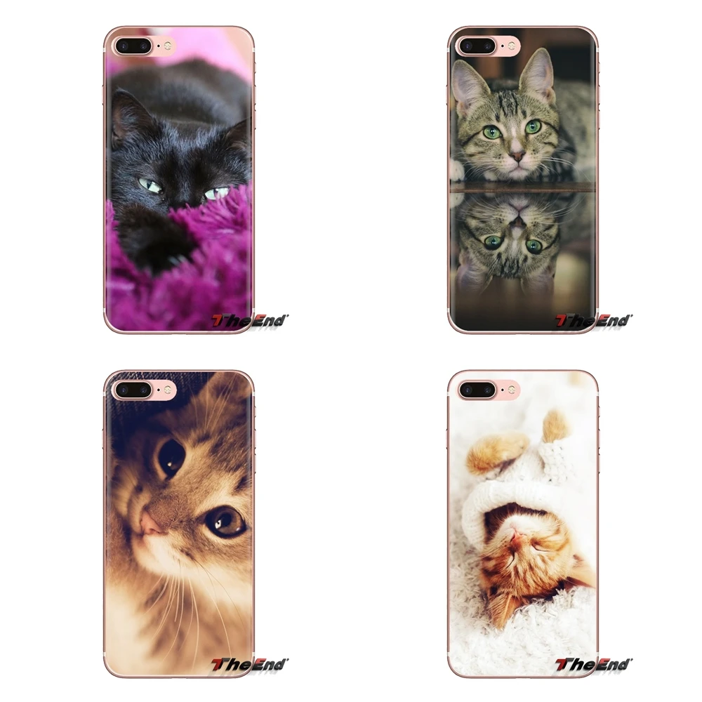 Cat wear grandmother glasses Phone Shell Covers For Sony Xperia Z Z1 Z2 Z3 Z5 compact M2 M4 M5 E3 T3 XA Aqua LG G4 G5 G3 G2 Mini |