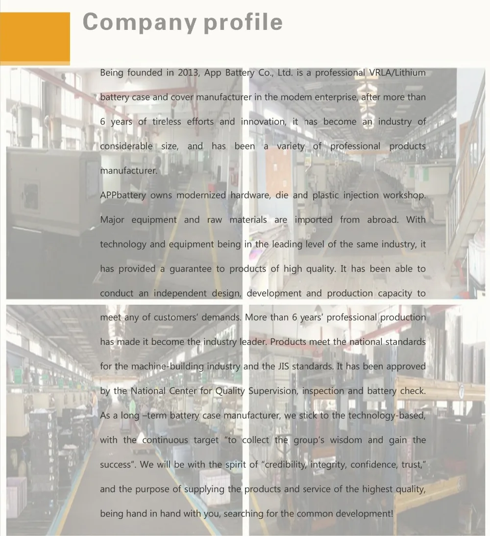 company profile