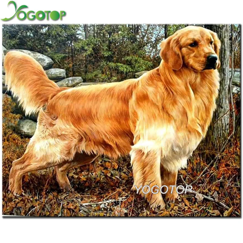 Алмазная картина сделай сам золотистый ретривер собака полная квадратная Стразы