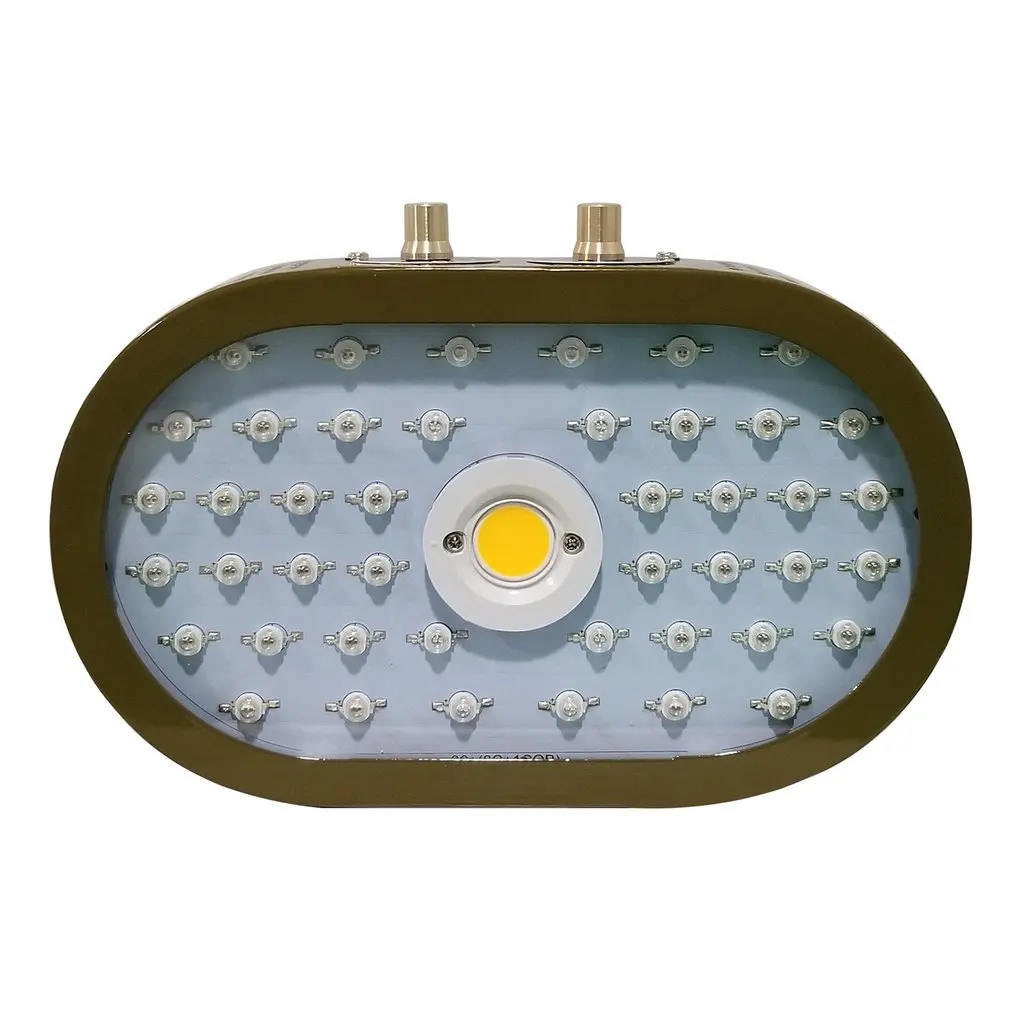 

Plants LED Grow Light Full Spectrum 1000W Double Chip Red/Blue/UV/IR Ellipse Light For Indoor Plants VEG BLOOM