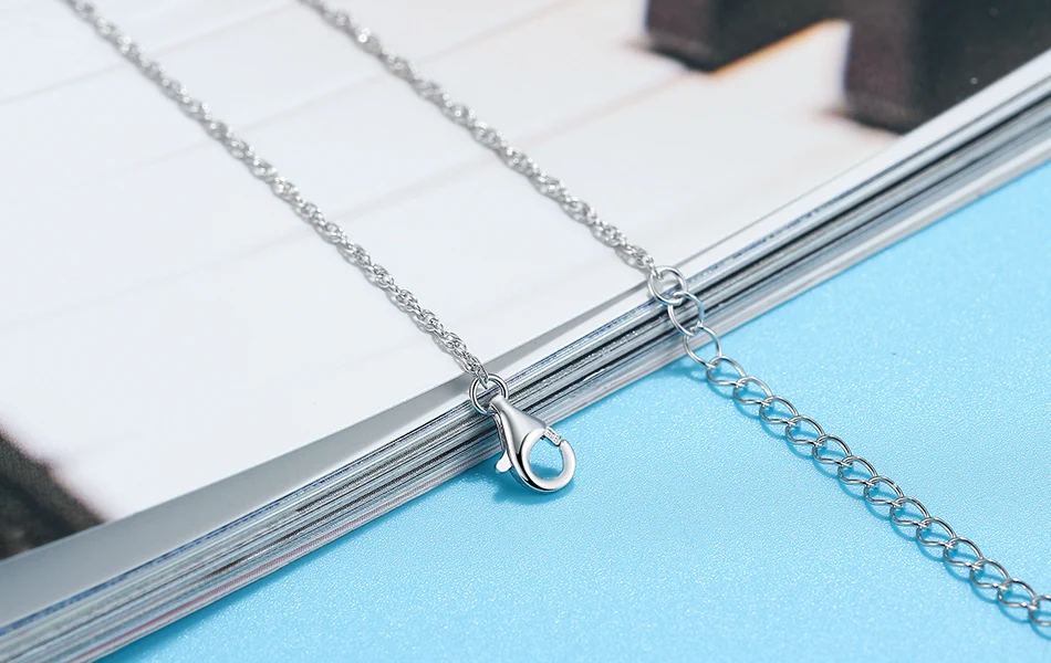 SA06-P-SCENE-IMG_3878-R