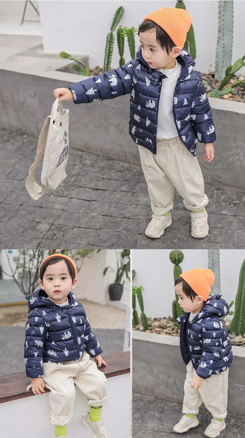 11498369422_315797183