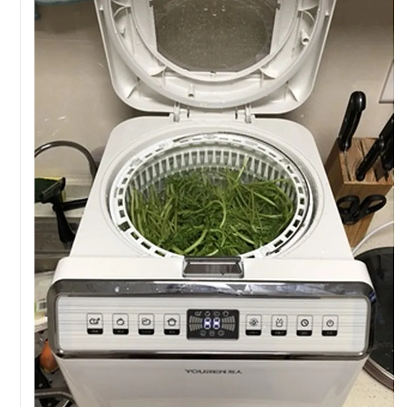 220 В машина для мытья овощей средство для чистки овощей бытовой дезинфекции детоксикации Автоматическая еда озона стерилизатор