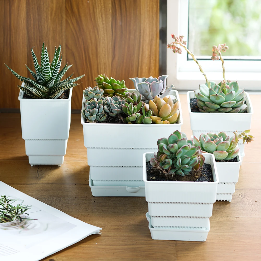 Meshpot Square Plastic Succulents Planter Pots With Tray Set Nursery Pot Cactus Plant Pot Garden Flower Pot Plant Pot