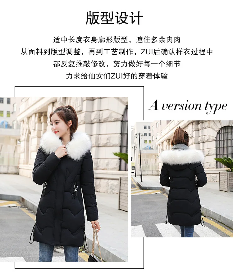 Cotton_03.jpg