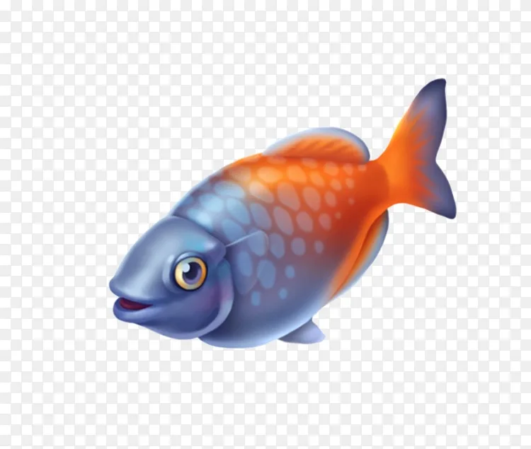 金鱼卡通手绘鱼png图片素材免费下载 图片编号 Png素材网