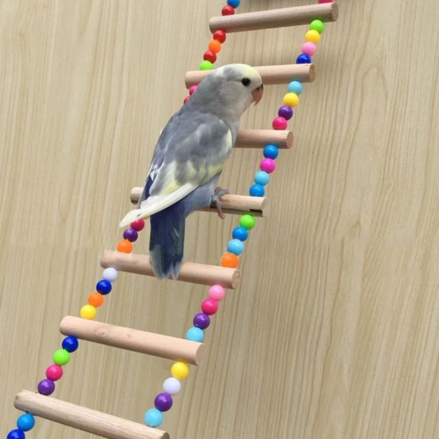 Échelle ou pont d'escalade en bois naturel et perles colorées pour oiseaux