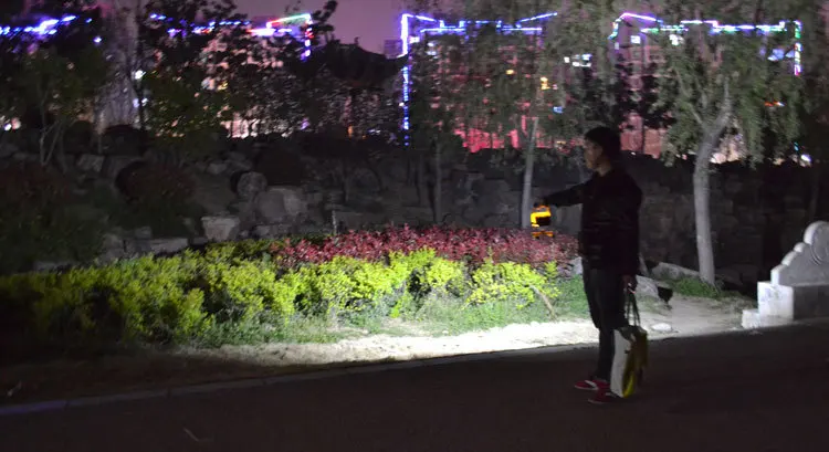 8650012985_1978398805