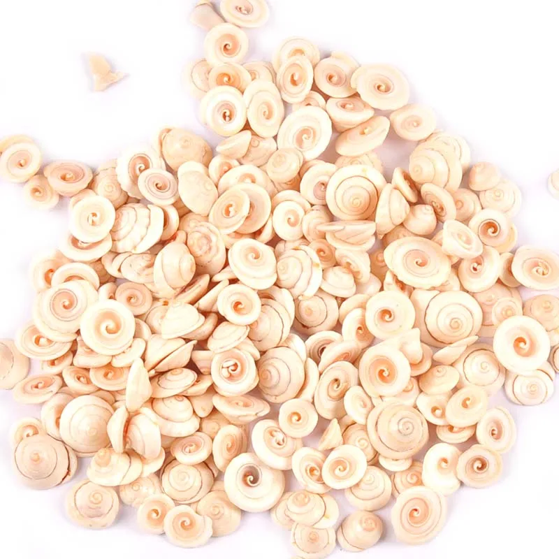 Mini Spiral Natural Shells natural shell ornaments For Flatback Cabochons Handmade Scrapbooking Crafts DIY Aquarium Seashells Home Decoration 50Pcs