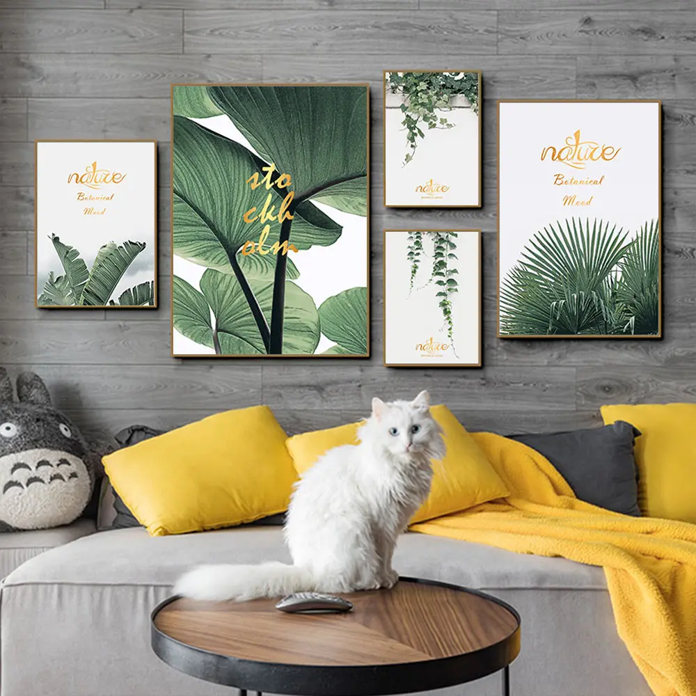 NCMF284-成品效果图01