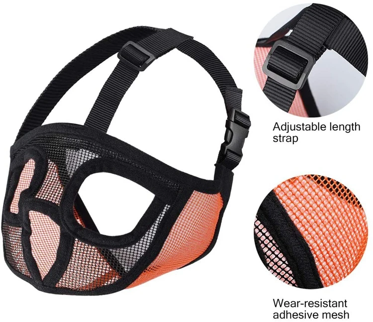 1 - 71K77szZLEL._AC_SL1001_