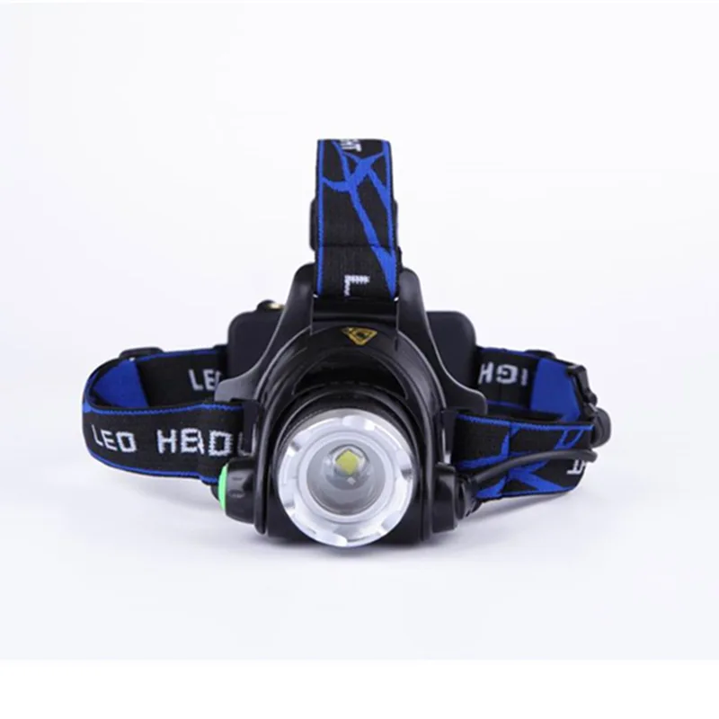 11069636261_1802638989