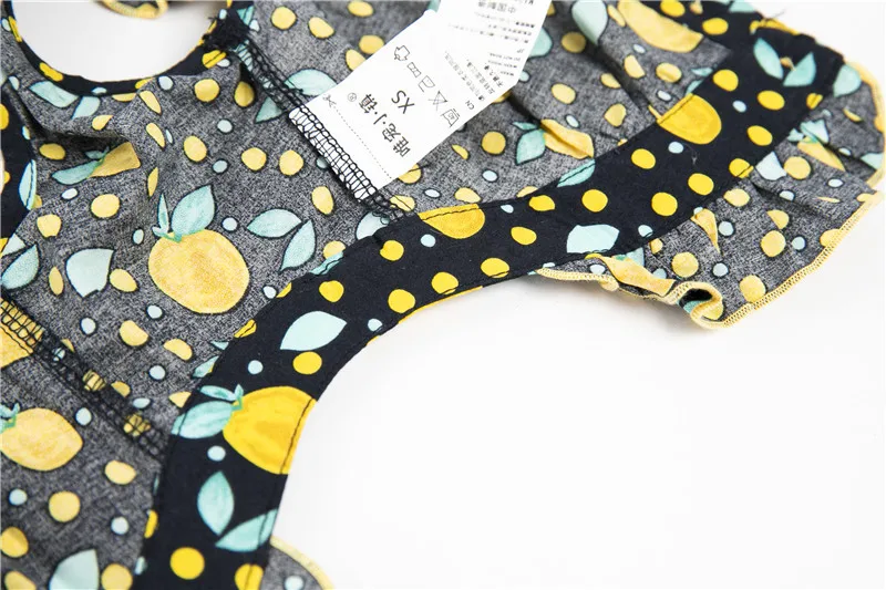 puppy dog shirt summer small dog (4)