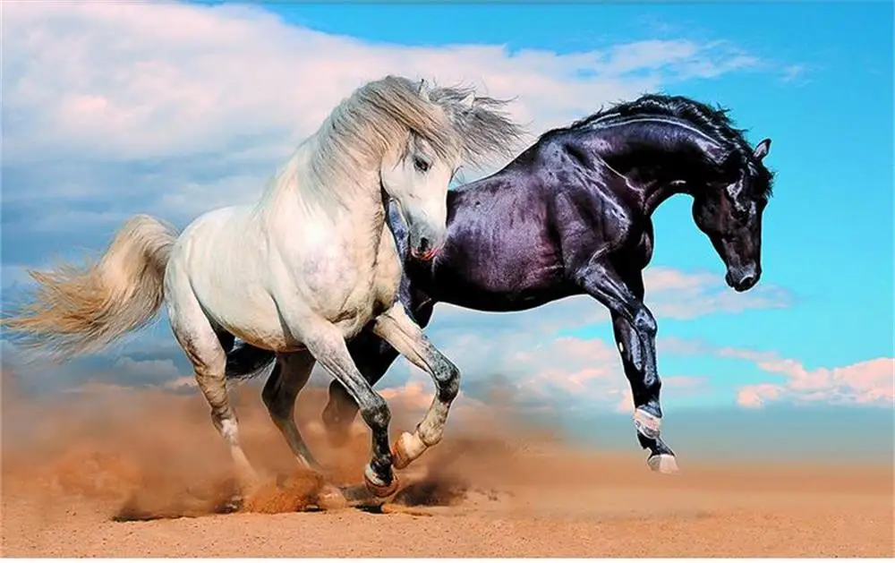 360截图20151212200542455