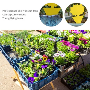 

50sets Butterfly Polygon Shape Double-Sided Adhesive Board Fruit Fly Trap Yellow Sticky Flying Insects Sticker