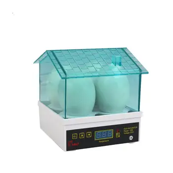 

Incubator Chicken Quail Egg Incubator Electronic Display Thermostat Automatic