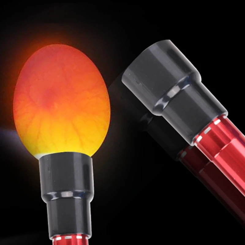 GROOMY Beleuchten Sie die Eierlampe Inkubator Eggtester Eiertest Taschenlampe Kaltinkubation 9 LED Eierkerzenlampe-Rot 