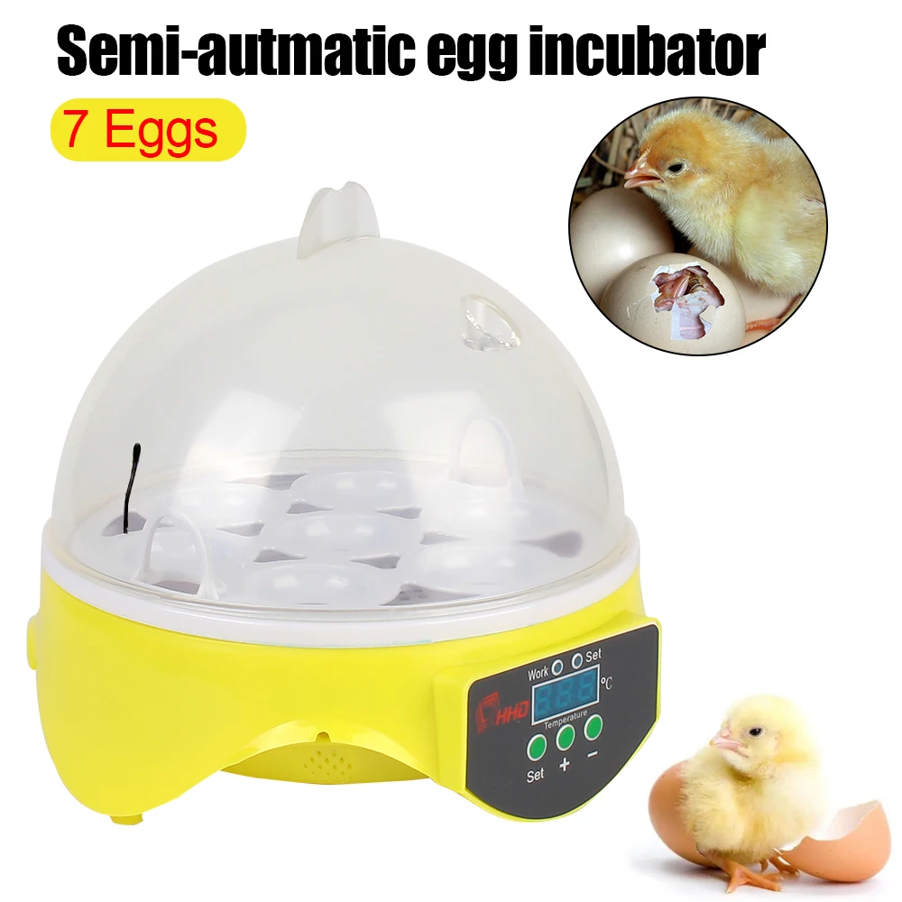 

Adjustable Digital Temperature 7 Egg Mini Egg Incubator for Chicken Duck Bird Pigeon Brooder Poultry Incubator Farm Hatchery