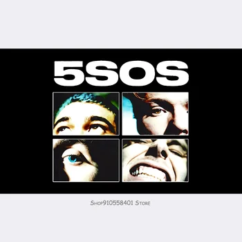 

5Sos 5 Seconds Of Summer No Shame 2020 Tour T Flag