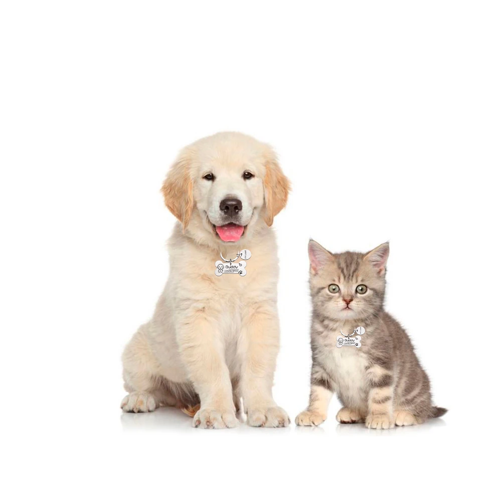 H94c07874a0224ad683bef0f5f534021dA