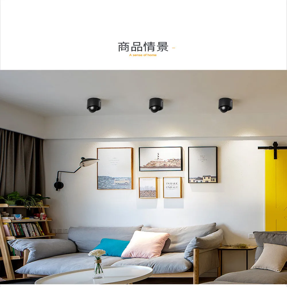 1000 X 1000 COB Downlight C