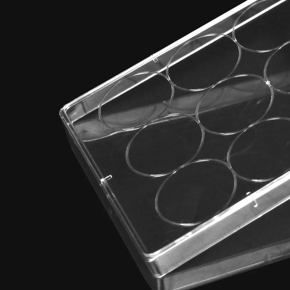 Labselect 12 Well Cell Culture Plate No DNase And RNase 10PCS/lot