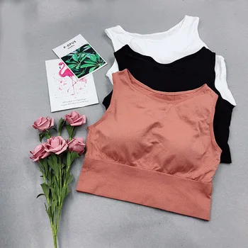 

Seamless Solid Pear Celebrity Style Seemless Vest-Free Steel Ring shao nv kuan Tube Top Beauty Back Underwear Push up Breathable