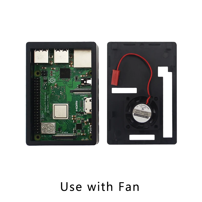 Fan